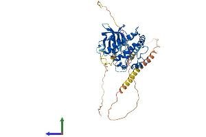 AlphaFold protein structure predicition of Mouse Recombinant Camk4 Protein, UniprotID P08414