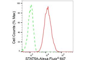 Flow cytometric analysis of STAT5A expression in C2C12 cells using STAT5A antibody (ABIN7800347), 1:2,000). (Recombinant STAT5A anticorps)