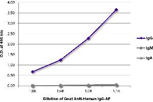 ELISA image for Goat anti-Human IgG (Heavy Chain) antibody (Alkaline Phosphatase (AP)) (ABIN375681)