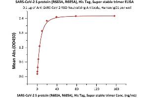 Immobilized Anti-SARS-CoV-2 Neutralizing Antibody, Human IgG1 (Cat.