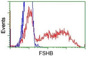 Flow Cytometry (FACS) image for anti-Follicle Stimulating Hormone, beta Polypeptide (FSHB) antibody (ABIN1498315) (FSHB anticorps)