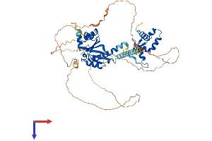 AlphaFold protein structure predicition of Human Recombinant EME1 Protein, UniprotID Q96AY2