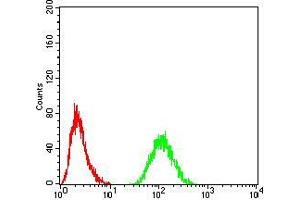 Flow cytometric analysis of Hela cells using RAD21 mouse mAb (green) and negative control (red). (RAD21 anticorps  (AA 287-403))