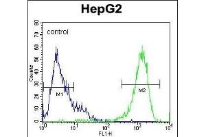 PK1 Antibody (C-term) (ABIN1882175 and ABIN2841383) flow cytometric analysis of HepG2 cells (right histogram) compared to a negative control cell (left histogram). (ERK2 anticorps  (C-Term))