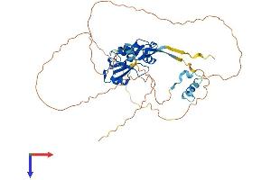 AlphaFold protein structure predicition of Human Recombinant SOCS4 Protein, UniprotID Q8WXH5