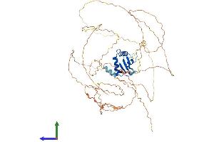 AlphaFold protein structure predicition of Mouse Recombinant Elf2 Protein, UniprotID Q9JHC9