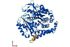 AlphaFold protein structure predicition of Mouse Recombinant Tubb4a Protein, UniprotID Q9D6F9