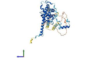 AlphaFold protein structure predicition of Human Recombinant ZNHIT2 Protein, UniprotID Q9UHR6