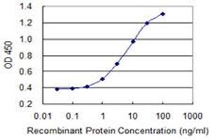 Detection limit for recombinant GST tagged SLC26A2 is 0.