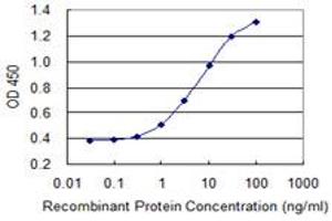 Detection limit for recombinant GST tagged SLC26A2 is 0. (SLC26A2 anticorps  (AA 1-108))