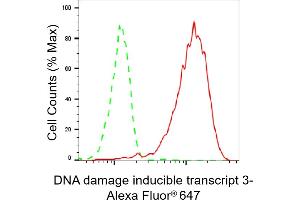 Flow cytometric analysis of DNA damage inducible transcript 3 expression in HepG2 cells using DNA damage inducible transcript 3c antibody (ABIN7798369), 1:2,000). (Recombinant DDIT3 anticorps)