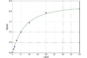 A typical standard curve (Synaptophysin Kit ELISA)
