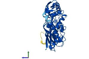 AlphaFold protein structure predicition of Human Recombinant MAT2A Protein, UniprotID P31153