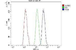 Flow Cytometry analysis of A431 cells using anti-PAX4 antibody (ABIN7602426). (PAX4 anticorps  (AA 76-350))