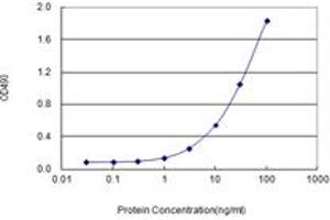 Sandwich ELISA detection sensitivity ranging from 0. (BUB1 (Humain) Matched Antibody Pair)
