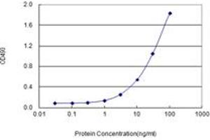 BUB1 (Human) Matched Antibody Pair