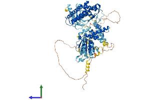 AlphaFold protein structure predicition of Mouse Recombinant Afg3l2 Protein, UniprotID Q8JZQ2