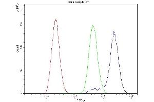 Flow Cytometry analysis of U-87 cells using anti-CTNNA1 antibody (ABIN3043818). (CTNNA1 anticorps  (AA 143-292))