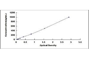 Vascular Endothelial Cell Growth Factor 121 (VEGF121) ELISA Kit