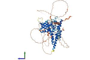 AlphaFold protein structure predicition of Mouse Recombinant Arhgef25 Protein, UniprotID Q9CWR0