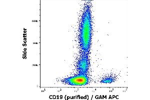 Flow cytometry surface staining pattern of human peripheral blood stained using anti-human CD19 (4G7) purified antibody (concentration in sample 3 μg/mL) GAM APC.