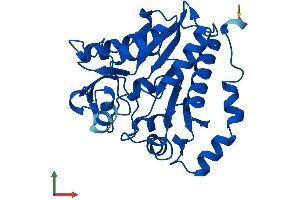 AlphaFold protein structure predicition of Mouse Recombinant Gnpda2 Protein, UniprotID Q9CRC9