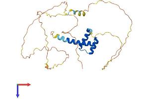 AlphaFold protein structure predicition of Human Recombinant HOXC11 Protein, UniprotID O43248