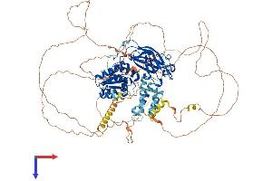 AlphaFold protein structure predicition of Mouse Recombinant Dnajc6 Protein, UniprotID Q80TZ3