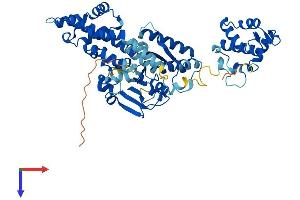 AlphaFold protein structure predicition of Human Recombinant EHD4 Protein, UniprotID Q9H223
