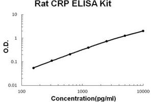 Rat CRP PicoKine ELISA Kit standard curve
