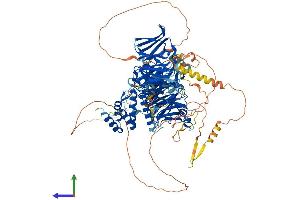 AlphaFold protein structure predicition of Human Recombinant HIRA Protein, UniprotID P54198