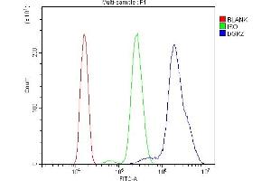 Flow Cytometry analysis of HL-60 cells using anti-DGKZ/DGK-zeta antibody (ABIN7602261). (DGKZ anticorps  (AA 664-928))