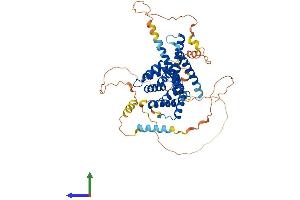 AlphaFold protein structure predicition of Mouse Recombinant Tom1l2 Protein, UniprotID Q5SRX1