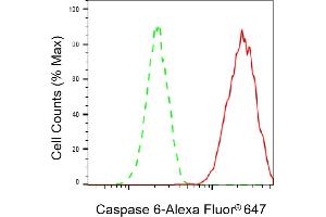 Flow cytometric analysis of Caspase 6 expression in HAP-1 cells using Caspase 6 antibody (ABIN7797899), 1:2,000). (Recombinant Caspase 6 anticorps)