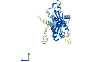 AlphaFold protein structure predicition of Mouse Recombinant Smarcb1 Protein, UniprotID Q9Z0H3