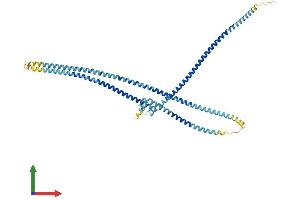 AlphaFold protein structure predicition of Mouse Recombinant Mns1 Protein, UniprotID Q61884