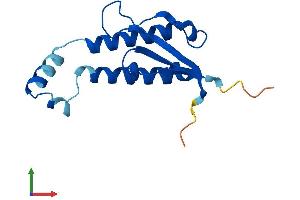 AlphaFold protein structure predicition of Mouse Recombinant Golga7 Protein, UniprotID Q91W53
