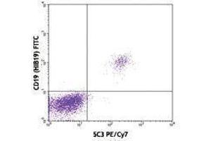 Flow Cytometry (FACS) image for anti-CD40 (CD40) antibody (PE-Cy7) (ABIN2659262) (CD40 anticorps  (PE-Cy7))