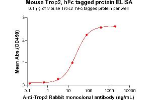 ELISA plate pre-coated by 1 μg/mL (100 μL/well) Mouse Trop2 Protein, hFc Tag  (ABIN7092858, ABIN7272482 and ABIN7272483) can bind anti-Trop2 monoclonal antibody ABIN7092876, ABIN7272718 and ABIN7289707 in a linear range of 0.