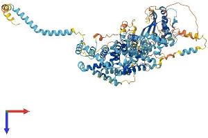 AlphaFold protein structure predicition of Human Recombinant SNX14 Protein, UniprotID Q9Y5W7