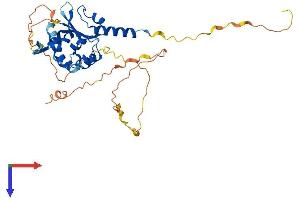 AlphaFold protein structure predicition of Human Recombinant ATCAY Protein, UniprotID Q86WG3
