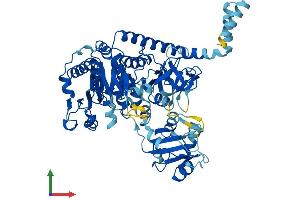 AlphaFold protein structure predicition of Mouse Recombinant Slc27a4 Protein, UniprotID Q91VE0