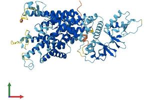 AlphaFold protein structure predicition of Mouse Recombinant Clcn4 Protein, UniprotID Q61418