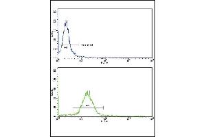 Flow cytometric analysis of MDA-231 cells using WNT10B Antibody (Center)(bottom histogram) compared to a negative control cell (top histogram).
