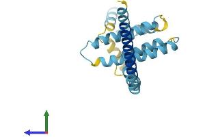 AlphaFold protein structure predicition of Human Recombinant REEP5 Protein, UniprotID Q00765
