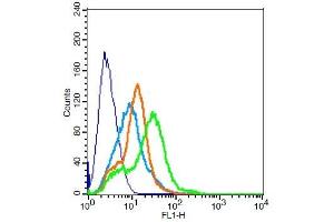 RSC96 probed with KCNQ2 Polyclonal Antibody, Unconjugated  ) at 3ug for 30 minutes followed by incubation with a conjugated secondary -FITC) (green) for 30 minutes compared to control cells (blue), secondary only (light blue) and isotype control (orange).