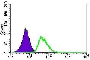 Flow cytometric analysis of HeLa cells using KIF11 mouse mAb (green) and negative control (purple). (KIF11 anticorps)