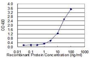 Sandwich ELISA detection sensitivity ranging from 1 ng/mL to 100 ng/mL. (SERPINB1 (Humain) Matched Antibody Pair)