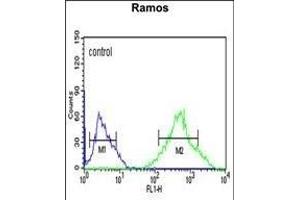 GSTP1 Antibody (Center) (ABIN1881393 and ABIN2842718) flow cytometric analysis of Ramos cells (right histogram) compared to a negative control cell (left histogram).