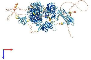 AlphaFold protein structure predicition of Human Recombinant MOV10L1 Protein, UniprotID Q9BXT6
